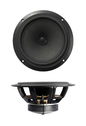 SB Acoustics SB16PFCR25-4-COAX koaxiální reproduktor 6"