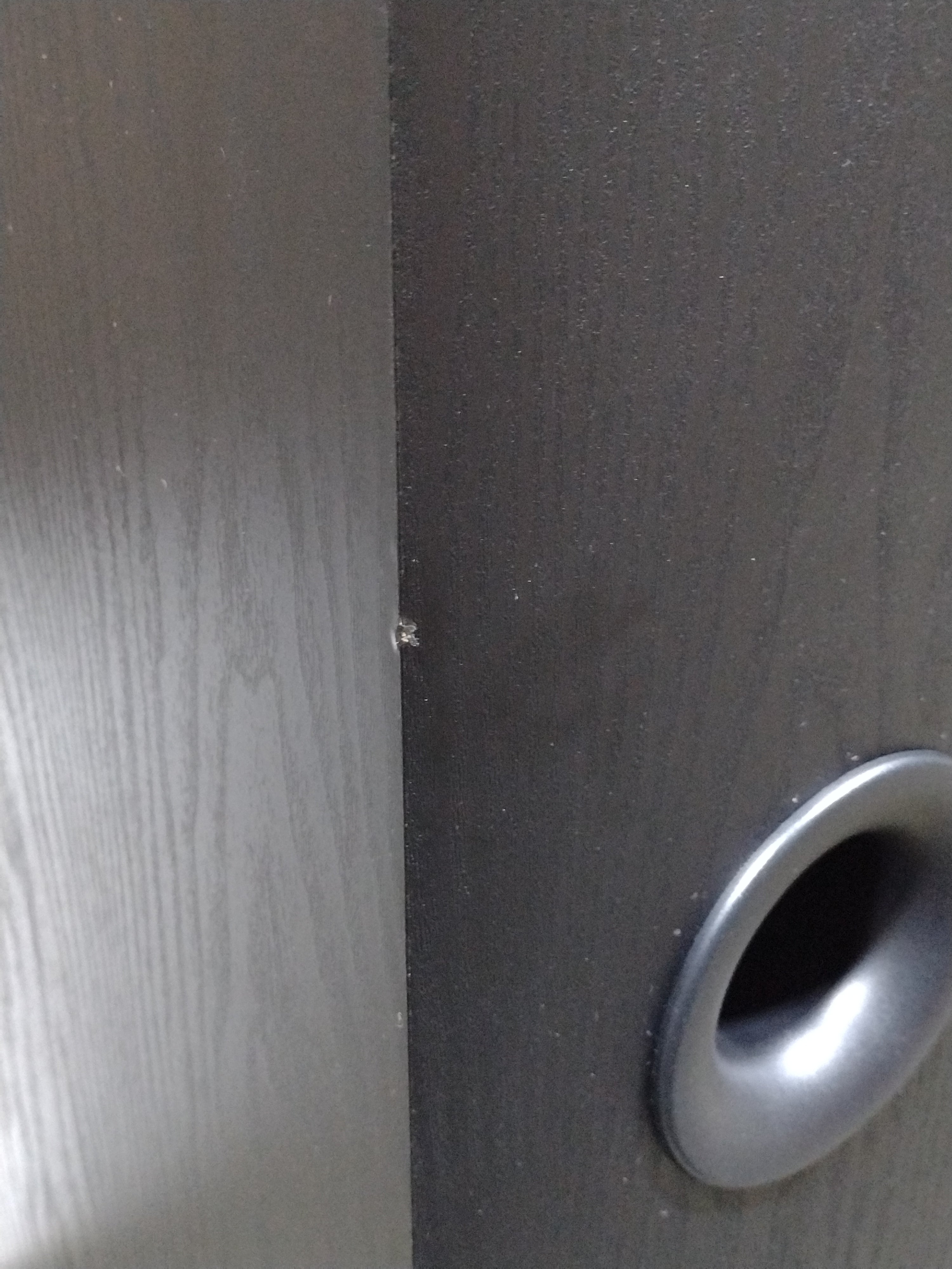 SVS Prime Pinnacle sloupový reproduktor Black Ash